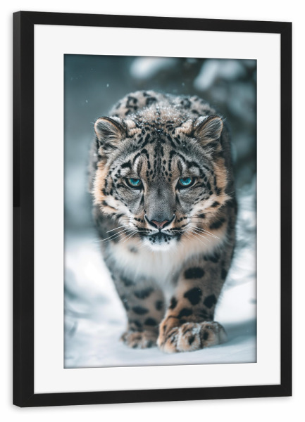 Poster mit Rahmen schwarz "Blauäugiger Schneeleopard" artboxONE - Natur,Reise,Tiere - Schnee,Leopard,Wild,Tier,Natur,Antarktis,Nordpol,Wald,Berge,Ki
