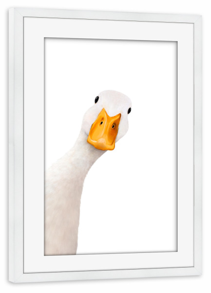 Poster mit Rahmen weiß "Gans Illustration" artboxONE - Natur,Für Kinder,Tiere,Comic,Lustig