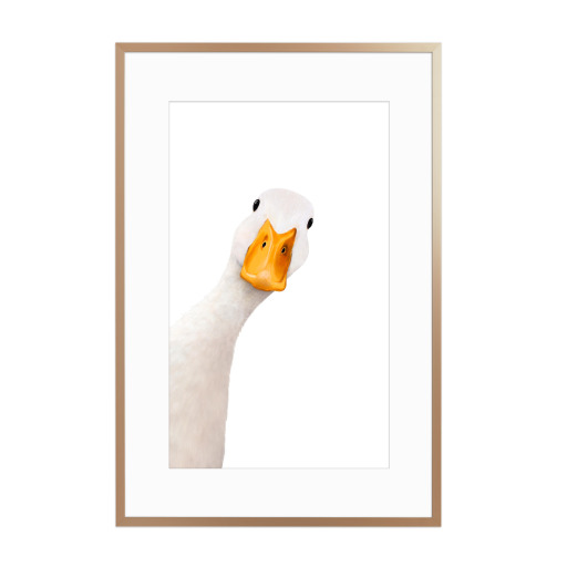 Goose