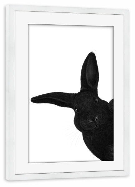 Poster mit Rahmen weiß "Schwarzer Hase" artboxONE - Natur,Für Kinder,Tiere,Für Mama,Lustig