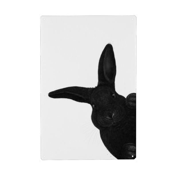 Metall Poster "Schwarzer Hase" artboxONE - Natur,Für Kinder,Tiere,Für Mama,Lustig