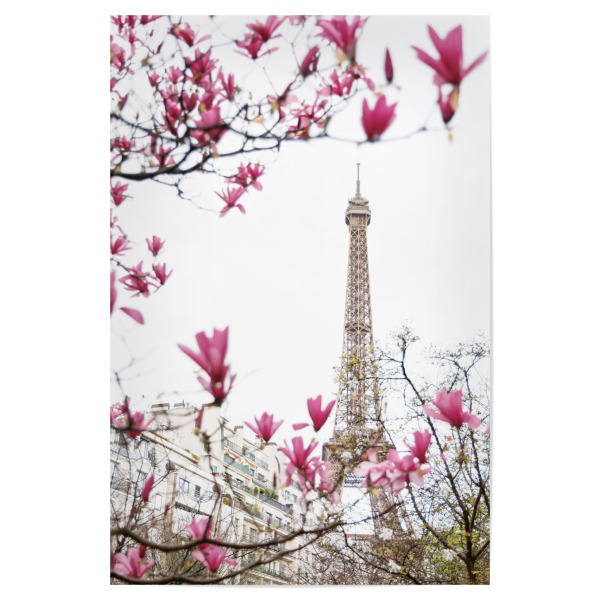 Poster 30x20 cm "Eifelturm und Magnolien" artboxONE - Floral,Architektur,Städte / Paris