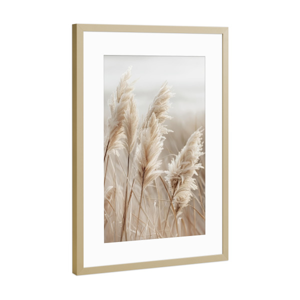 Poster mit Rahmen Gold "Pampasgras am Meer" artboxONE - Natur,Reise / Strand und Meer