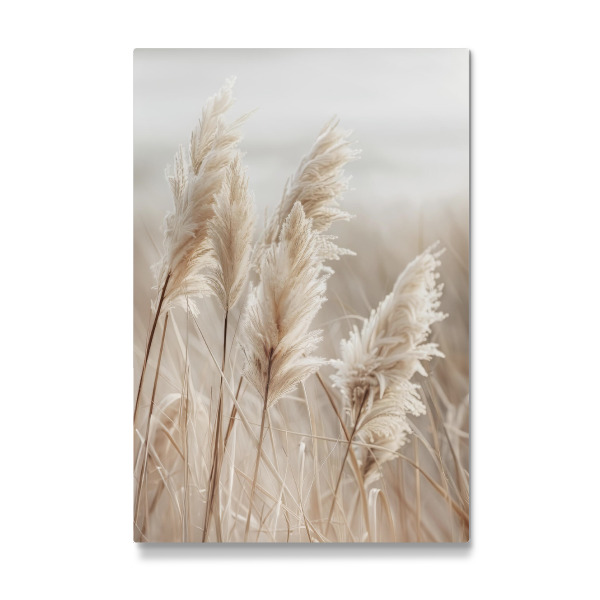 Galerie-Print "Pampasgras am Meer" 30x20 cm artboxONE