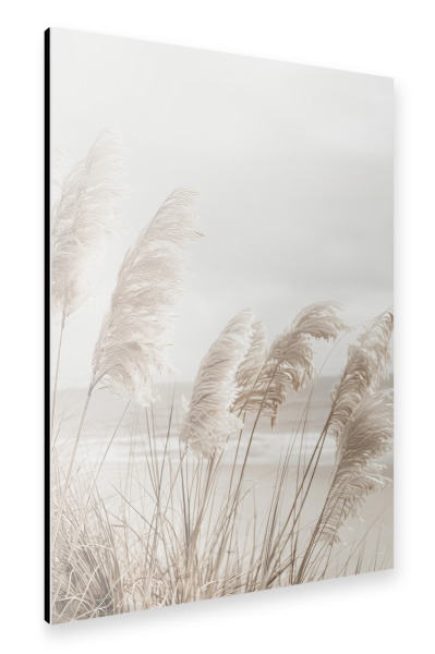 Alu-Dibond "Pampasgras am Strand" 30x20 cm artboxONE