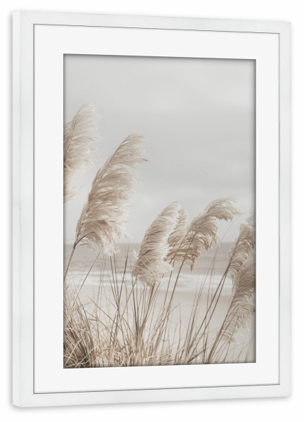 Poster mit Rahmen weiß "Pampasgras am Strand" artboxONE - Natur,Reise / Strand und Meer