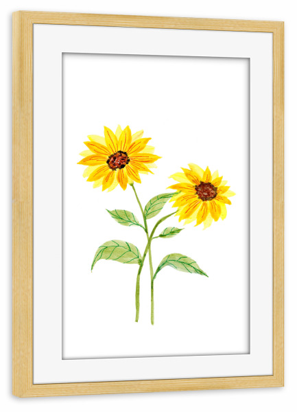 Poster mit Rahmen kiefer "Zwei Sonnenblumen und Blätter" artboxONE - Natur,Floral,Liebe - Sonnenblume,Blume,Aquarell,Wandkunst