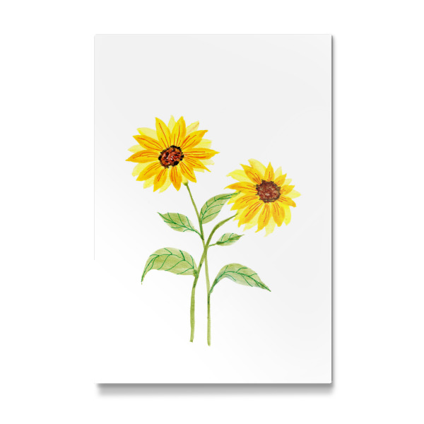 Galerie-Print "Zwei Sonnenblumen und Blätter" 30x20 cm artboxONE