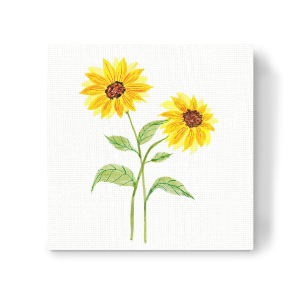 Leinwandbild "Zwei Sonnenblumen & Blätter" artboxONE - Natur,Floral - Sonnenblume,Blumen,Blume,Aquarell