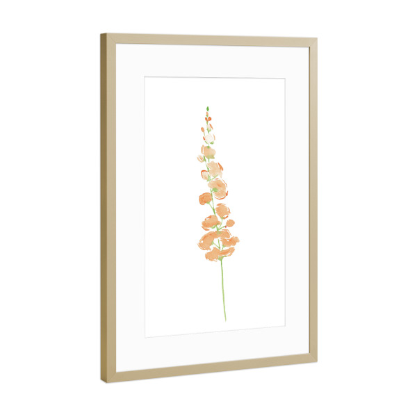 Poster mit Rahmen Gold "Wilde Blume" artboxONE - Natur,Floral - Blumen,Blume,Wild,Aquarell,Malerei