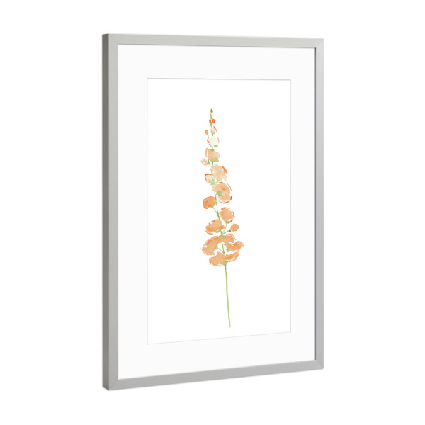 Poster mit Rahmen Silber "Wilde Blume" artboxONE - Natur,Floral - Blumen,Blume,Wild,Aquarell,Malerei