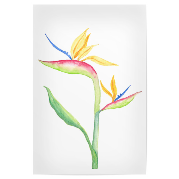Poster "Zweig des Paradiesvogels" artboxONE - Natur,Floral - Paradiesvogel,Tropische,Tropische blätter