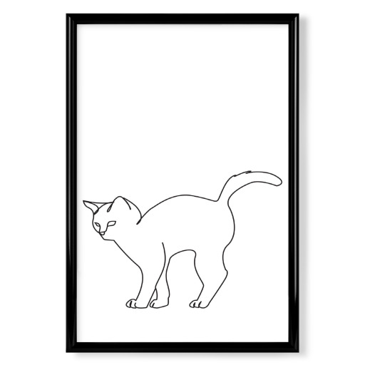 Cat sketch