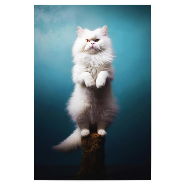 Poster 30x20 cm "Miau Katzenyoga G" artboxONE - Tiere,Lustig - Katze,Katzen,Yoga,Bewegung,Tier,Lustig