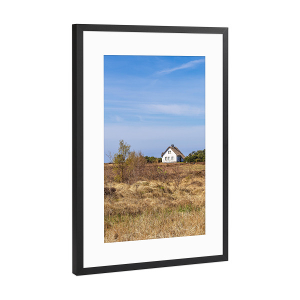 Poster mit Rahmen Schwarz (Metallic) "Haus auf der Insel Hiddensee" artboxONE - Natur,Reise,Architektur