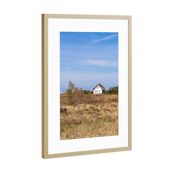 Poster mit Rahmen Gold "Haus auf der Insel Hiddensee" artboxONE - Natur,Reise,Architektur