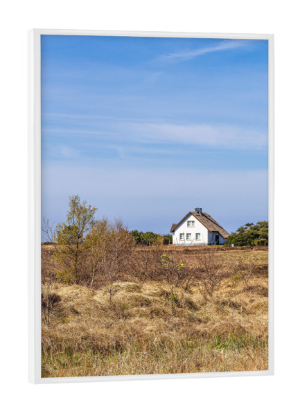 Poster mit weißem Rahmen "Haus auf der Insel Hiddensee" artboxONE - Natur,Reise,Architektur