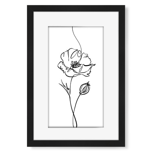 Poppy