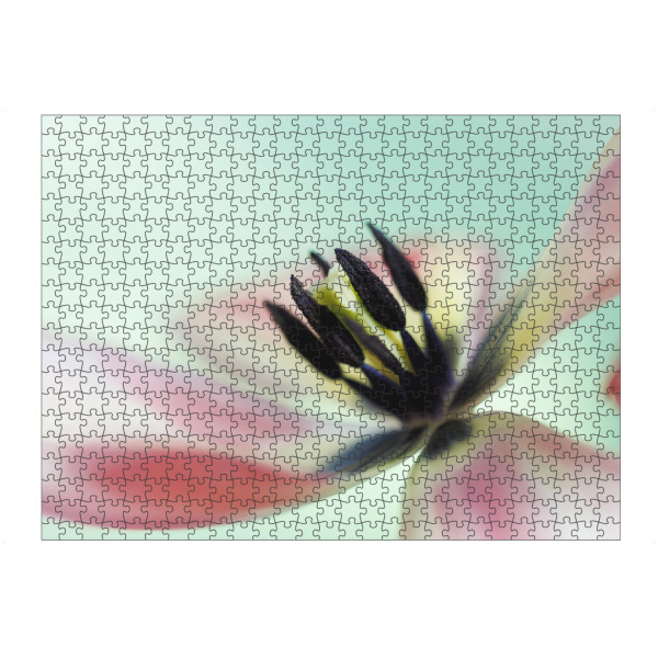 Puzzle Ravensburger "Swinging Tulip" artboxONE - Natur,Floral,Für Mama