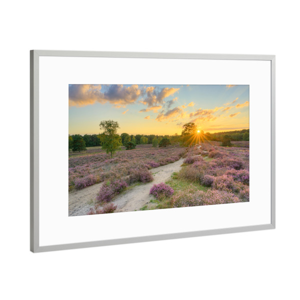 Poster mit Rahmen Silber "Westruper Heide im Sommer" artboxONE - Natur,Reise