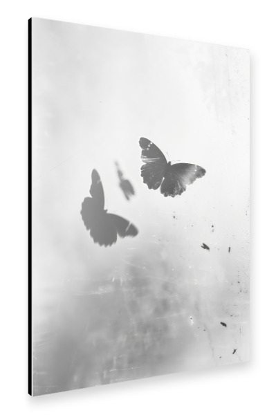 Alu-Dibond "Tanz Der Schmetterlinge I" 30x20 cm artboxONE