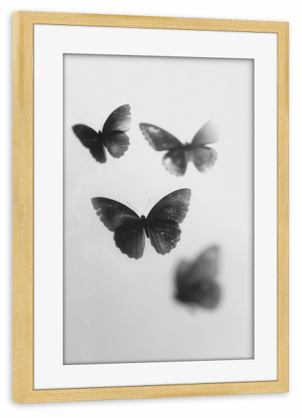 Poster mit Rahmen kiefer "Tanz Der Schmetterlinge I I" artboxONE - Tiere,Schwarzweiß,Für Mama