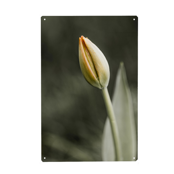 Holzbild "The Silence Of Beauty" artboxONE - Natur,Floral,Für Mama