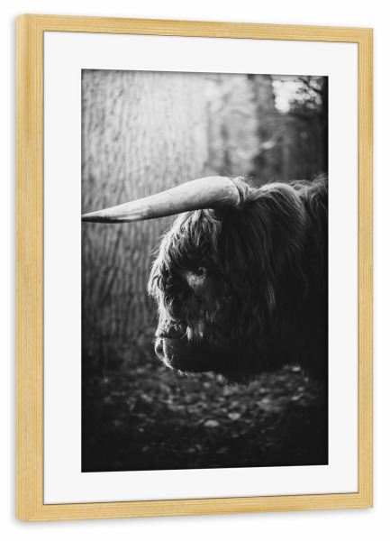Poster mit Rahmen kiefer "Wild friend" artboxONE - Natur,Reise,Tiere,Abstrakt,Schwarzweiß