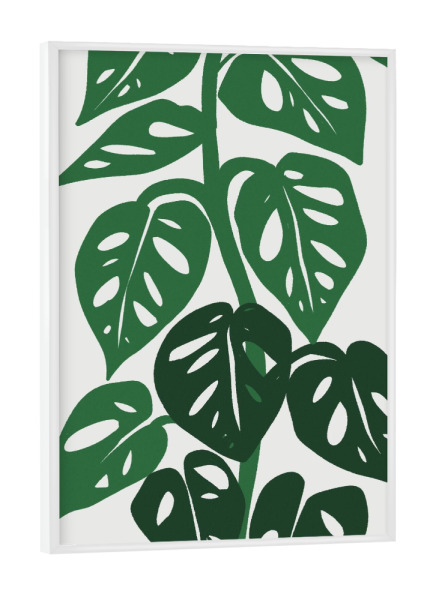Poster mit weißem Rahmen "Monstera Plants green" artboxONE - Floral,Abstrakt - Monstera plant,Plant,Floral,Green,Modern,Floral decoration,Nature