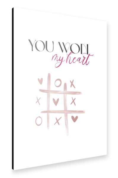 Alu-Dibond "You won" 30x20 cm artboxONE