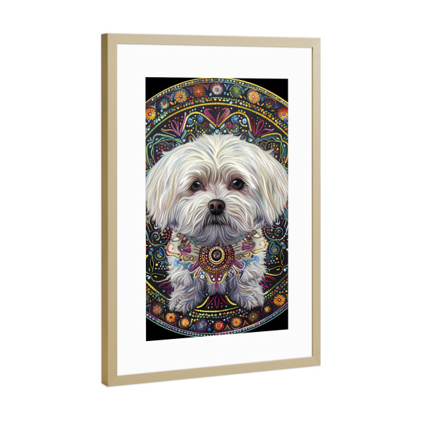 Poster mit Rahmen Gold "Mandala - Maltesisch" artboxONE - Natur,Tiere,Abstrakt