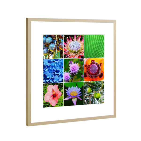 Poster mit Rahmen Gold "Mehr Blühendes" artboxONE - Floral,Für Mama