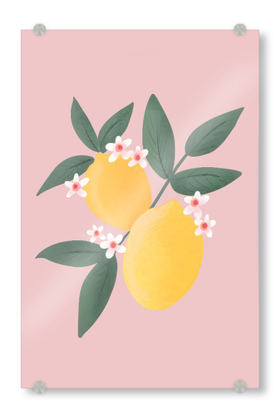 Acrylglasbild "Zitronenblüten" artboxONE - Essen & Trinken / Obst & Gemüse - Gelb,Rosa,Zitrone,Obst,Bemalt,Blume,Blumen,Süß