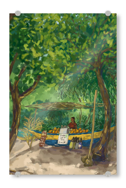 Acrylglasbild "Kokosnussverkäufer im Dschungel" artboxONE - Natur,Reise,Menschen,Reise / Asien,Reise / Länder