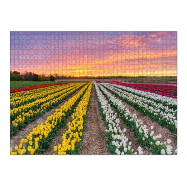 Puzzle Ravensburger "Tulpenfeld bei Sonnenaufgang" artboxONE - Natur,Reise,Floral