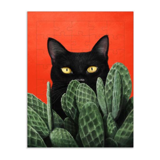 Schwarze Katze in Kakteen