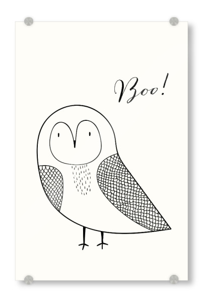 Acrylglasbild "Boo - süße Eule" artboxONE - Tiere,Schwarzweiß,Lustig - Minimalistisch,Eule,Tier,Vogel,Schwarzweiß,Lustig