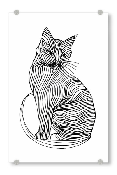 Acrylglasbild "Linienkunst Kat" artboxONE - Tiere,Schwarzweiß - Linien,Strichzeichnungen,Tier,Tiere,Grafik,Schwarz und weiß,Katze,Kätzchen