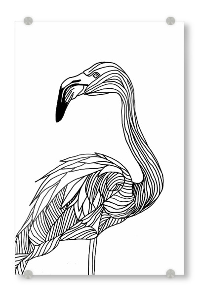 Acrylglasbild "Linienkunst Flamingo" artboxONE - Tiere,Schwarzweiß