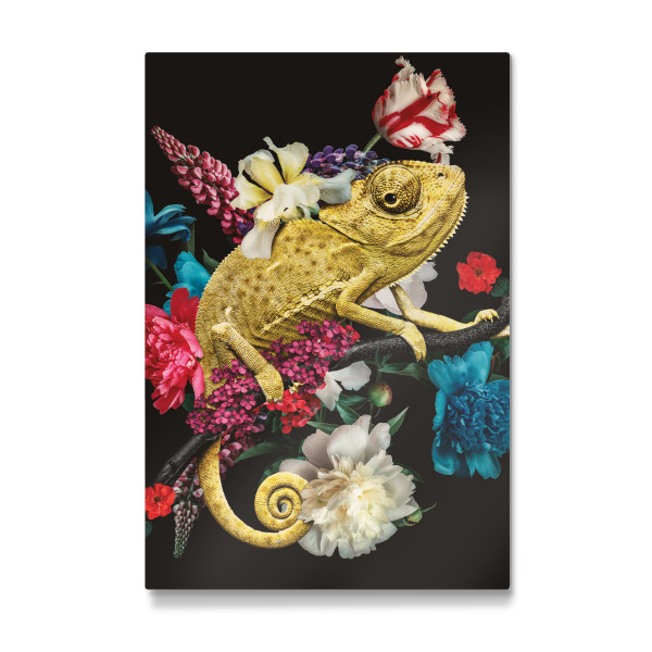 Galerie-Print "Goldenes Chamäleon" 30x20 cm artboxONE