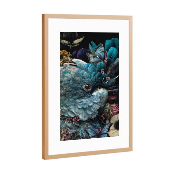Poster mit Rahmen Kupfer "Bunter Kakadu" artboxONE - Floral,Tiere - Kakadu,Vogel,Tropischer vogel,Papagei,Blumen,Foralpapagei,Buntes tier