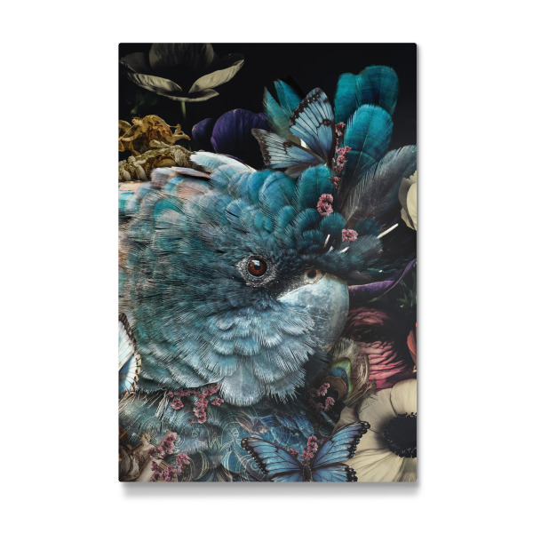 Galerie-Print "Bunter Kakadu" 30x20 cm artboxONE