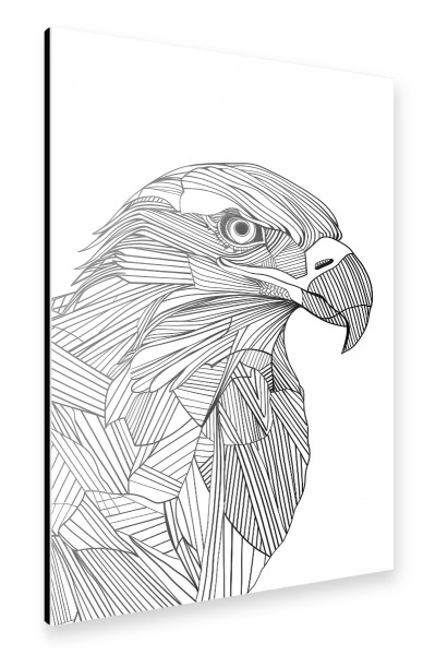 Alu-Dibond "Linien-Kunst-Adler" 30x20 cm artboxONE
