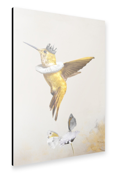 Alu-Dibond "Königliches Kolibri-Licht" 30x20 cm artboxONE