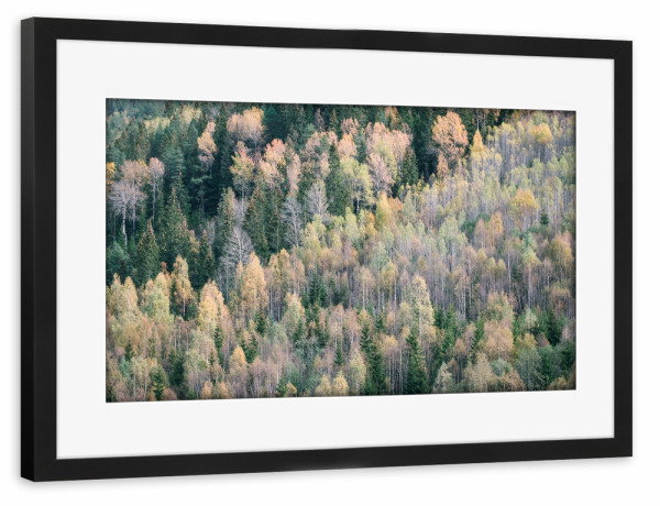 Poster mit Rahmen schwarz "Herbst in Norwegen" artboxONE - Natur,Reise,Abstrakt,Reise / Länder