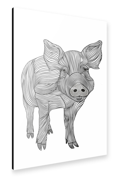 Alu-Dibond "Linienkunstschwein" 30x20 cm artboxONE