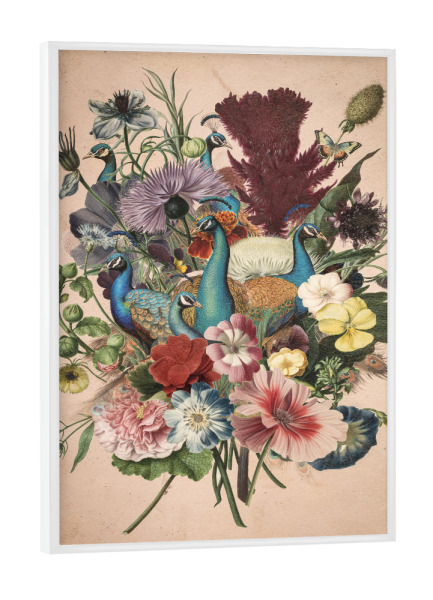 Poster mit weißem Rahmen "Blumen-Vintage" artboxONE - Floral,Tiere - Vintage,Blumen vintage,Blumen,Blumen,Vintage-blumen,Pfau,Vintage-pfau
