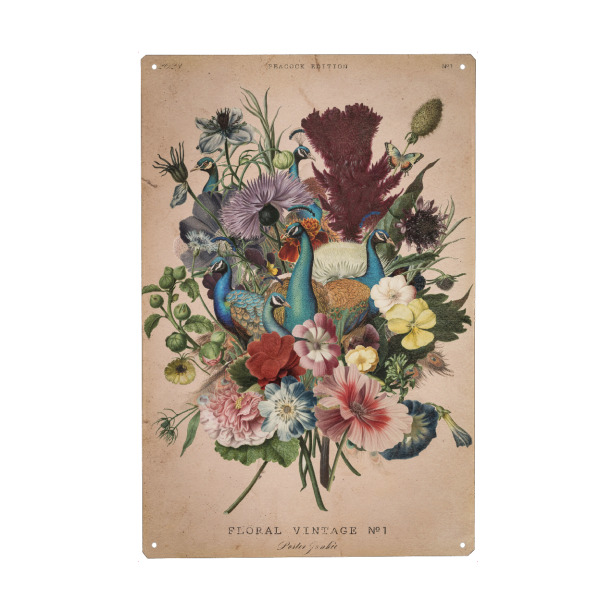 Metall Poster "Blumen-Vintage" artboxONE - Floral,Tiere - Vintage,Blumen vintage,Blumen,Blumen,Vintage-blumen,Pfau,Vintage-pfau - Blechschild