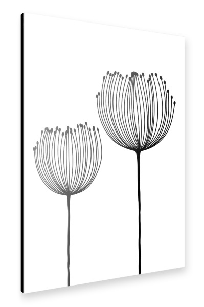 Alu-Dibond "Zwei Wildblumen" 30x20 cm artboxONE