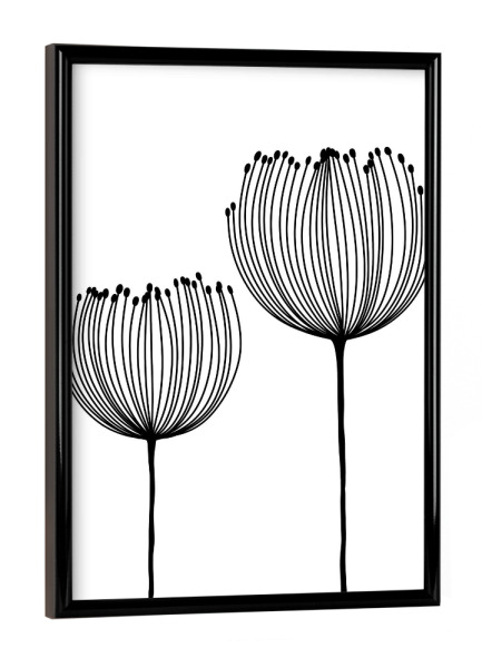 Poster mit schwarzem Rahmen "Zwei Wildblumen" artboxONE - Natur,Floral,Abstrakt,Schwarzweiß
